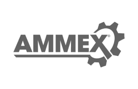 65a7112df1cadd7c809bec82_ammex-logo-ds